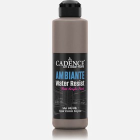 Resim Ambiente Akrilik Vizon 250ml Kat 10g AW17 