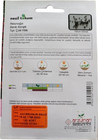 Resim Nesil Tohum Aslanağzı Çiçek Tohumu 100 Adet 