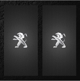 Resim Modifiye Fabrikası ARAÇ KAPI DİREĞİ KAPLAMA FOLYOSU - UV BASKILI - 2'Lİ SET - 50X24 CM 