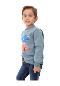 Resim Toontoy Kids Toontoy Erkek Çocuk Relax Fit Bisiklet Yaka Baskılı Sweatshirt - 2iplik Mint 