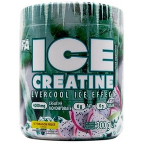 Resim FA ICE Creatine 300 g 