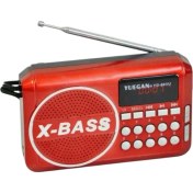 Resim Renkli Mini Cep Fm Radyo, Dijital Göstergeli, Şarjlı, Taşınabilir ve Kullanışlı 