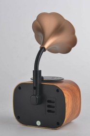 Resim Genel Markalar B5 Nostaljik Mini Gramafon Radyo Usb Aux Bluetooth Radyo Yüksek Ses Kalitesi 