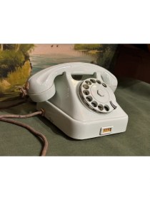 Resim TT Aykırı Renk Antika Çevirmeli Masa Telefonu. 