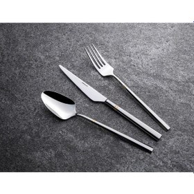 Resim Emsan Elegance Penta Gold 84 Parça Lüks Kutulu Çatal Kaşık Bıçak Takımı Gri 