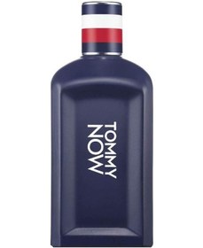 Resim Tommy Hilfiger Now Man Edt 100 Ml Erkek Parfümü Odunsu 