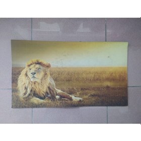 Resim Dijital Baskılı Kapı Önü Daire Paspası Kauçuk Tabanlı 39*69 Cm A3 