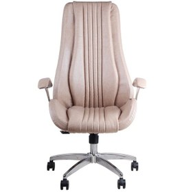 Resim Kpt Plus Krem Deri Makam Koltuğu Bej 