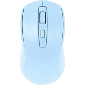 Resim Raynox RX-M202 Mouse - Raynox - Mavi 