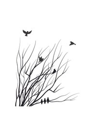 Resim Çocuk Odası Kuşlu Siyah Dallar Silüet Zebra Perde La-804 Beyaz 