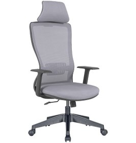 Resim Uzayofismobilyaları Uzay Ofis Dominik Fileli Müdür Koltuğu - Antrasit 