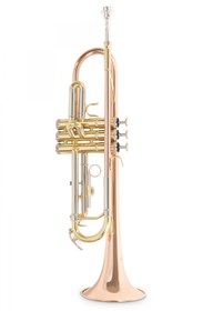 Resim Roy Benson TR-202G Bb Trompet (Gold Brass) | Altın Pirinç Kalak Sıcak Ton 