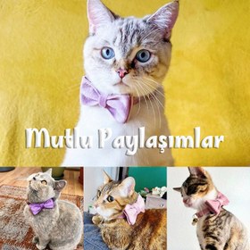 Resim Cat collar with bell bell cat collar bow tie 745094 - Orange Collar + Bow Tie / L 20-32cm 