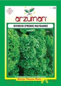 Resim Arzuman Frenk/Kıvırcık Maydanoz Tohumu 10 Gr 
