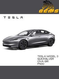 Resim AKZONOBEL Tesla Quicksilver (CİVA GRİSİ) Pn00 - Profesyonel Rötuş Boyası 30ml. Ve Rötüş Çeliği 