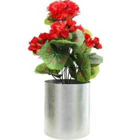 Resim Cihan Çiçekçilik Sardunya Kırmızı 25 Cm Dekoratif Bitki 12x12 Metal Saksı 