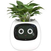 Resim Masdio Ivy AI Yapay Zeka Destekli Akıllı Saksı Beyaz 