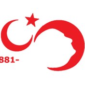 Resim Ogec Worx Türk Bayrağı 8 Duvar Dekor Sticker Kırmızı 80 X 40 Cm 