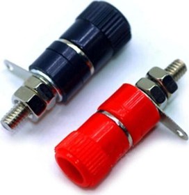 Resim Born Dişi Jak Orta Boy - 4mm 