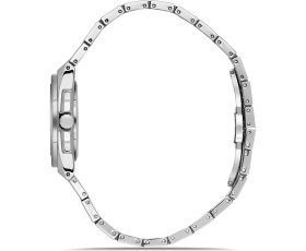 Resim Ferro FL43026A-A Quartz Çelik 