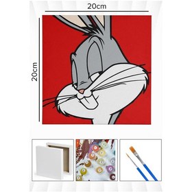 Resim Sayılarla Boyama 20x20 Cm Tuval Seti Fırça Boya Dahil Çıtaya Gerili - Kırmızı Bunny 