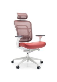 Resim Passion Oyuncu Koltuğu Ofis Çalışma Makam Koltuğu 