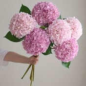 Resim 3 Adet Yapay Hortensia Buketi - Gerçekçi Pembe Sahte Çiçekler Yeşil Saplarla Ev, Düğün, Ofis ve Tatil Dekoru İçin (Noel, Sevgililer Günü), Düğün Merkezi | Dekoratif Buket | Canlı Pembe Çiçekler, Dış Mekanlar İçin Yapay Çiçekler 