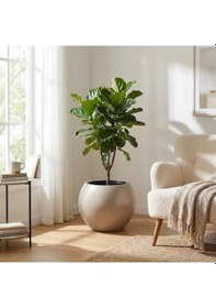 Resim Omnipazar So-kurs3 Küre Dekoratif Yuvarlak İç Kovalı Saksı 62 Litre No: 3 Mocha 