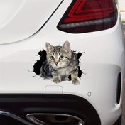 Resim Delikten Bakın Gerçekçi 3D Yavru Kedi Araba Stickerı - Sevimli Gri ve Beyaz Kedi Dekalı Arabalar, Motosikletler, SUV'lar, Römorklar, Dizüstü Bilgisayarlar & Pencereler için - Çizilmeye Dayanıklı Koruyucu Süslemeli Etiketler, Dizüstü Bilgisayar Dekorasyonu | Eğlenceli Tasarım | Yüksek Kaliteli Baskı, Kedi Aksesuarları 