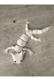 Resim shop Esnek Eklemli Sevimli Amfibik Sürüngen Figürü - 3D Baskı Dekoratif Obje 