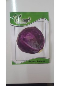 Resim Kırmızı Lahana Tohumu 1 Paket 