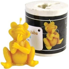 Resim Lyson Mum Kalıbı, Düşünen Kurbağa 