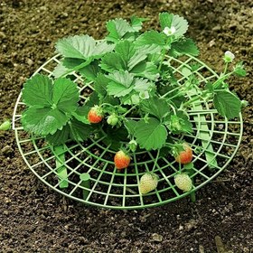 Resim 16 adet/2 Set, 8 adet/Set Yüksek Kaliteli Çilek Yetiştirme Saksıları - Hızlı Kurulum, Kılçık Dirençli Tasarım - Toprak Neminden Neden Olan Meyve Çürümesinin Önlenmesi ve Bitki Desteği Sağlanması 
