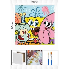 Resim Sayılarla Boyama 20x20 Cm Tuval Seti Fırça Boya Dahil Çıtaya Gerili - Bob Sevinç 