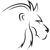 Resim Aslan 5 Folyo Sticker 50cm Uzunluk Siyah 