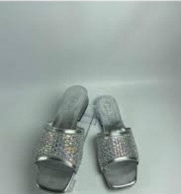 Resim Ortu Gümüş Cilt İşlemeli Terlik Gümüş 