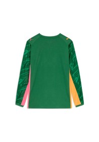 Resim Puma Galatasaray 25/26 Erkek Kaleci Forması 780629 80 Yeşil 