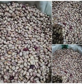 Resim Doğal Anadolu Artvin Kara Sırık Barbunya Tohumu 10 Tohum 