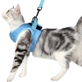 Resim Kedi Göğüs Tasması ve Kayış Seti 88598 - Mavi / L 