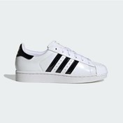 Resim Adidas Superstar Iı Kadın Günlük Spor Ayakkabı C-adıjs4010b10a00 Beyaz 