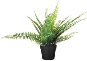 Resim IKEA Yapay Eğreltiotu Bitkisi 9 Cm Yapay Bitki Ev Dekorasyon 
