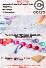 Resim Corvo Sayılarla Boyama Çerçeveli Hobi Seti Numaralı Tuval Fırça Boya Dahil Kasnaklı 40X50 Cm ÇİÇEK TARLASI 