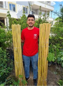 Resim Bambu Fidan Bitki Destek Çubuğu 10 Adet 2 Metre Boy 