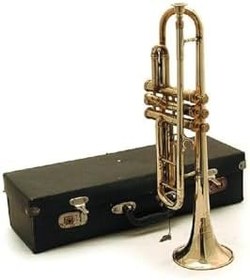 Resim Denizcilik Grubu – Marine Pirinç Aksesuar Kutulu Trompet | Dekoratif Denizci Obje, Pirinç Koleksiyon Ürünü 49x10x14 CM 