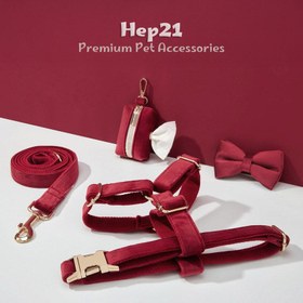 Resim Dog Collar Named Claret Red Velvet Collar 492893 - 4pcs set / XS 