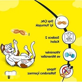 Resim Somon Ve Peynirli Kuru Kedi Ödül Maması 60 Gr, 2'li Paket 0.75 LT - 2.5 LT - 12 KG 