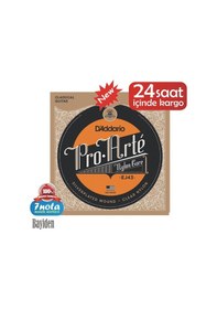 Resim D'Addario EJ43 Klasik Tel Set Light Tension Silver 