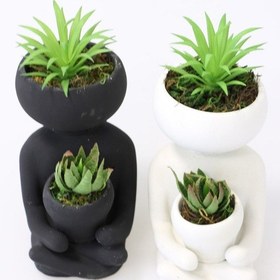 Resim Succulentli Buda Heykeli 2 Li Set Yapay Bitkiler Dahil 