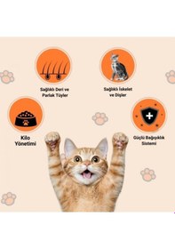 Resim Happy Tavuklu Kuru Kedi Maması 9 KG 