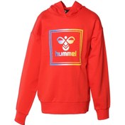 Resim hummel Leıden Hoodıe Çocuk Sweat 